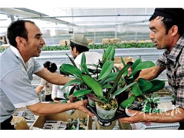 粤援疆，老板赚钱百姓叫好