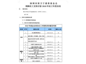 2018年残障社工支持计划-年度总结
