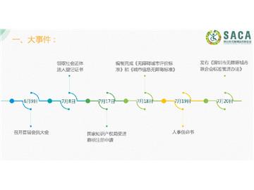 无障碍城市联合会资助计划年度报告