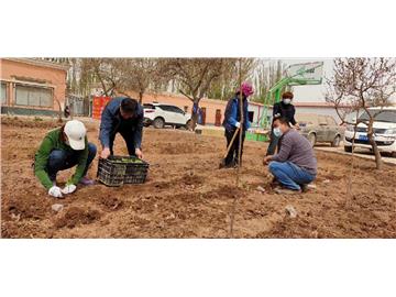 7 volunteers planted fruit trees and vegetables with Canyou in Kashgar Canyou, and labored for a whole day, the society is better because of you!