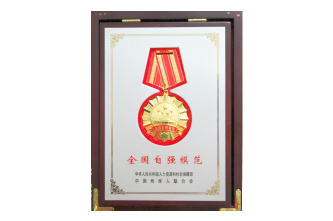 全国自强模范（勋章）