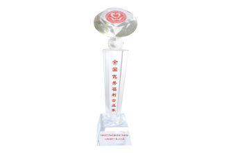 全国优秀福利企业家